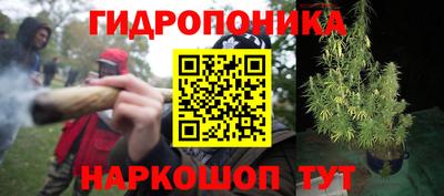 ГАЛЛЮЦИНОГЕННЫЕ ГРИБЫ Краснодар