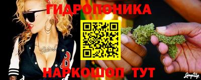 ГАЛЛЮЦИНОГЕННЫЕ ГРИБЫ Краснодар