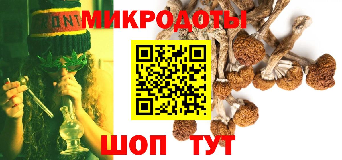 Галлюциногенные грибы Psilocybe Кирово-Чепецк